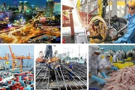 Aprecian oportunidades de inversión y negocios en Vietnam
