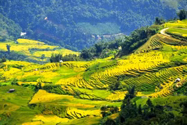 Descubren el pueblo más alto de Vietnam