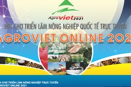 Vietnam promueve los productos de aldeas de oficios tradicionales