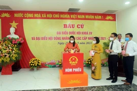 Registran alta tasa de participación electoral en mayoría de las localidades vietnamitas