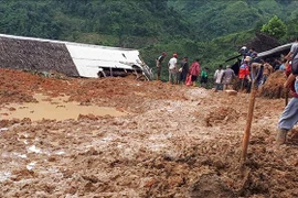 Deslizamientos de tierra en Indonesia provocan muertes y heridos 