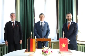 Vietnam promueve la cooperación con Alemania en el sector de salud