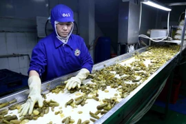 Promueven lazos comerciales entre provincia sudáfrica y socios vietnamitas