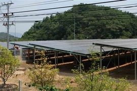 Firman contrato de licitación para construcción de plantas de energía solar en Vietnam