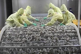 Buscan oportunidades de cooperación entre empresas vietnamitas y brasileñas
