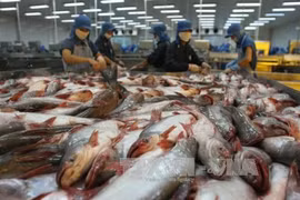 Camboya reanudará importación de bagres de Vietnam