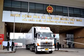 Reanuda Vietnam exportación de plátano fresco a China