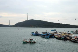 Efectúan en Hanoi taller sobre economía oceánica sostenible
