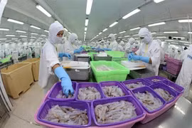Destacan potencialidades para exportaciones vietnamita en Eurasia