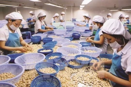 Estados Unidos sigue siendo el mayor receptor de productos agroforestales de Vietnam 