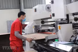 Crece número de nuevas empresas en provincia vietnamita en 2020
