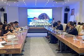 Phu Yen: Actividades turísticas ayudan a proteger arrecifes de coral en isla de Hon Yen