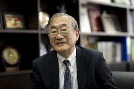 Sólida industria cultural eleva la posición de Vietnam en la región, afirma profesor japonés 