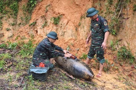 Desactivan bomba remanente de guerra en provincia de Nghe An