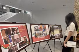 Alianza Juvenil Vietnamita en Singapur por seguir agilizando sus actividades