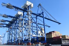 VCCI propone mantener una tasa impositiva cero para servicios exportados