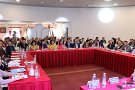 Asociación de Vietnamitas en República Checa fortalece cooperación comunitaria 