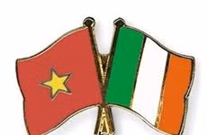 Dirigentes vietnamitas felicitan a Irlanda por su Día Nacional