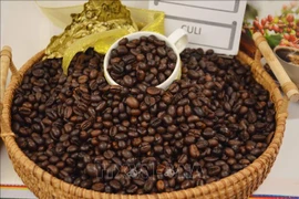 Aumentan exportaciones del café de Vietnam en enero