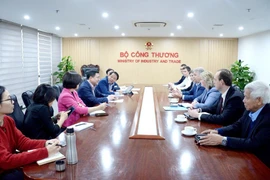 Vietnam busca colaboración en GNL con el grupo ruso Novatek