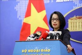 Vietnam maneja caso terrorista en Dak Lak acorde con la ley, según Cancillería