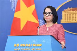 Vietnam rechaza reclamaciones ilegales en el Mar del Este