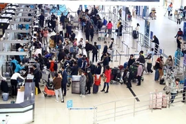 Aerolíneas listas para alta demanda de viajes durante Año Nuevo Lunar 