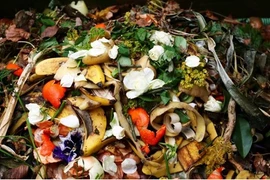 Investigadores tailandeses convierten residuos de alimentos en biocarbón