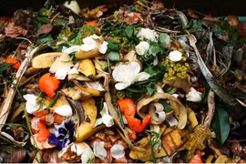 Investigadores tailandeses convierten residuos de alimentos en biocarbón