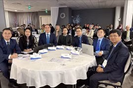 Vietnam participa en la conferencia de auditoría ambiental en Finlandia