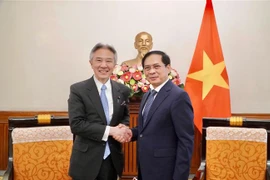Vietnam y Japón buscan intensificar cooperación en cultura, educación, ciencia y tecnología
