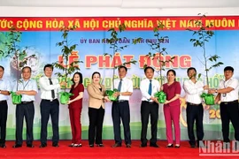 Lanzan campaña de siembra de árboles en Phu Yen