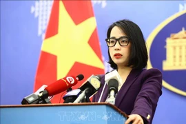 Tres de 14 migrantes en contenedor refrigerado en Irlanda son vietnamitas 