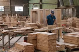 EE.UU. amplía investigaciones sobre armarios de madera procedentes de Vietnam