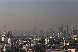 Funcionarios de Bangkok trabajan desde casa debido a la contaminación