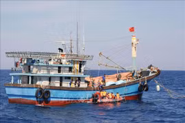 Localidad vietnamita se une a esfuerzos por combatir contra la IUU