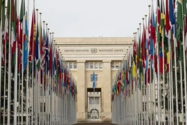Vietnam quiere seguir promoviendo cooperación con ONU