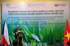  Vietnam y República Checa buscan ampliar cooperación agrícola