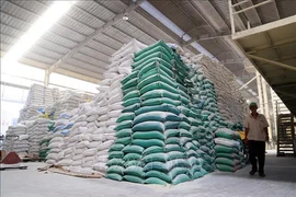 Emiten decreto sobre aranceles de importación preferenciales especiales Vietnam - Camboya