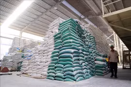 Emiten decreto sobre aranceles de importación preferenciales especiales Vietnam - Camboya