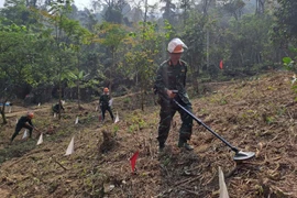 Agilizan lazos Corea del Sur- Vietnam en formación de técnicos para lucha contra minas