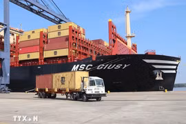 Buque portacontenedores superior a 170 mil DWT atraca en puerto vietnamita