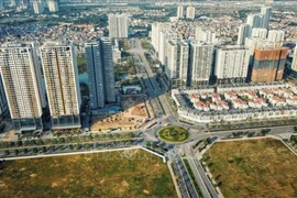 Ley de Tierras (enmendada) atrae interés de vietnamitas en ultramar
