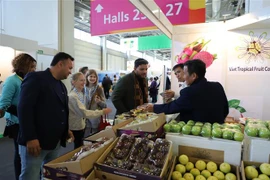 Promueven consumo de frutas vietnamitas en Alemania y otros países europeo