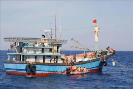 Localidad vietnamita se une a esfuerzos por combatir contra la IUU