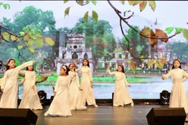 Comunidad vietnamita en Alemania se reúne en ocasión del Tet 