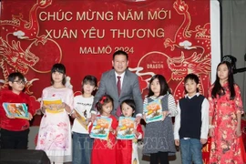 Vietnamitas en Suecia se reúnen con motivo del Año Nuevo Lunar