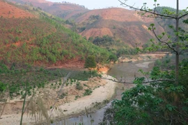 Vietnam tiene 14,86 millones de hectáreas de bosques