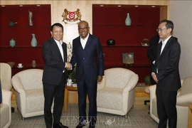 Destacan cooperación Vietnam-Singapur en seguridad y prevención de crimen transfronterizo
