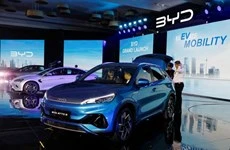 Indonesia promueve incentivos para estimular la demanda de vehículos eléctricos